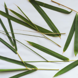 Bamboo Leaves For Food Decoration