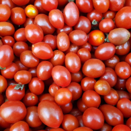 Semi Determinate Saladette Tomato Seeds for sale