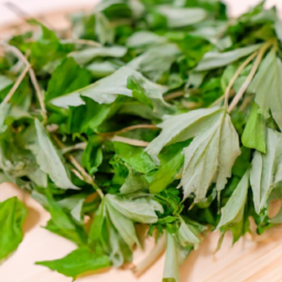 Fresh Houba Leaves For Sushi Product