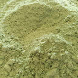 High Quality Wheat Grass Powder for Sale