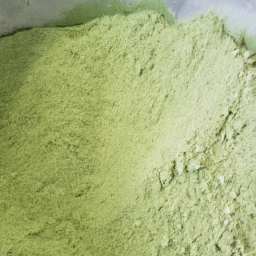 High Quality Wheat Grass Powder for Sale