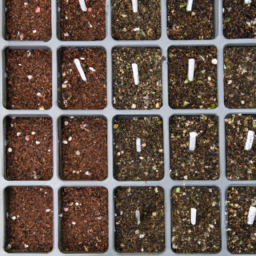 seed start trays