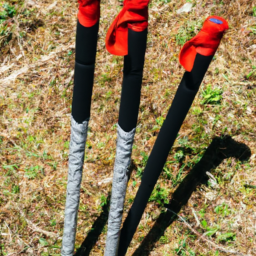 Foldable Hiking Sticks