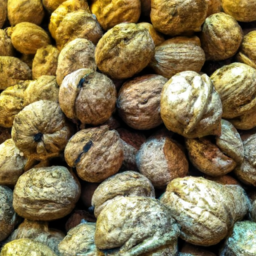 walnuts shelf life