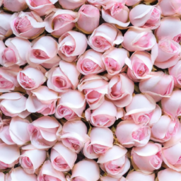 artificial roses bulk