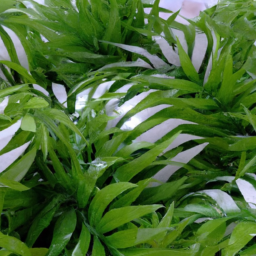 artificial greenery in bulk