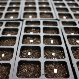 ODM seedling trays