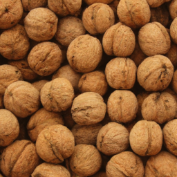 walnut inshell exporters