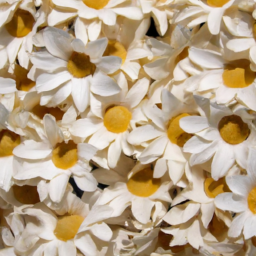 fake daisies in bulk