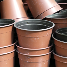 Bulk Pots For Plants