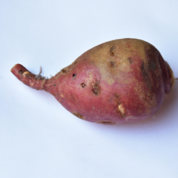 red skin radish