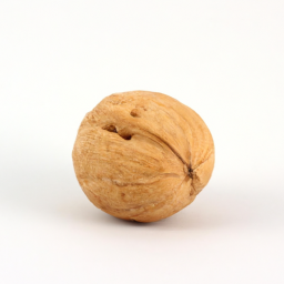 walnut size in inches