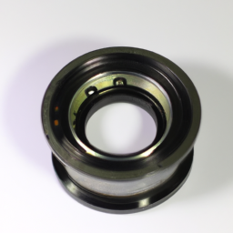 oem oil seal