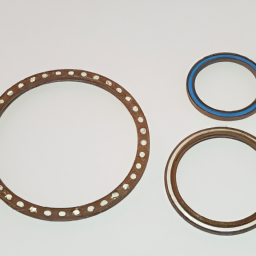 difference between o ring and gasket