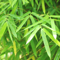 Bamboo Leaves Light Green