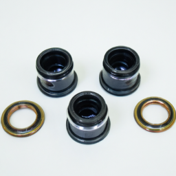 TC TG SC NBR FKM Oil Seal