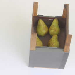 Pear in Box