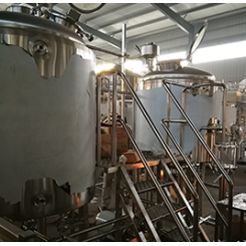 10-20HL / 10-20BBL Craft Brewery System