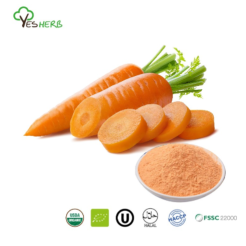 Carrot Powder